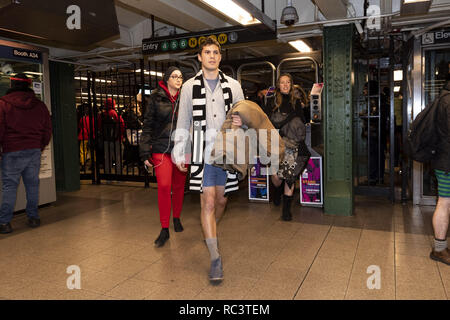 New York, NY, USA. 13 Jan, 2019. U-Bahn Fahrer ohne Hosen im jährlichen Keine Hosen mit der U-Bahn beteiligt, am Union Square U-Bahn Station in New York City, New York, am 13. Januar 2019. Quelle: Michael Brochstein/ZUMA Draht/Alamy leben Nachrichten Stockfoto