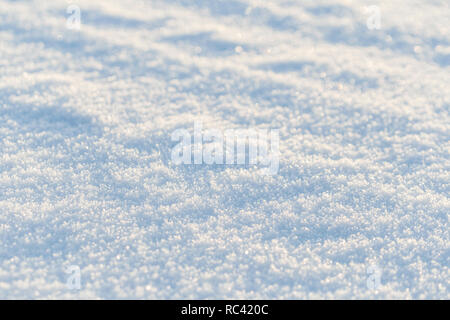 In der Nähe von frischem Schnee auf dem Boden an einem sonnigen Tag, gut als Winter Hintergrund. Flache Tiefenschärfe, unscharfer Hintergrund. Stockfoto