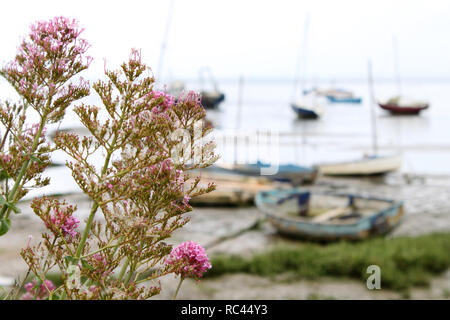 Boote bei Leigh-on-Sea, Essex, Großbritannien Stockfoto