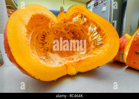 Die Hälfte der einen Schnitt Kürbis, Cucurbita, mit Samen auf einem Tisch von der Front in der Küche Stockfoto