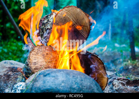 Hot lebendige Flamme der brennenden Brennstämme liegen auf Kamin Stockfoto