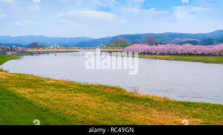 Voller Blüte Cherryblossom Sakura bei Kitakami Tenshochi Park in Kitakami, Iwate, Japan Iwate, Japan - 22 April 2018: kitakami Tenshochi Park von Stockfoto