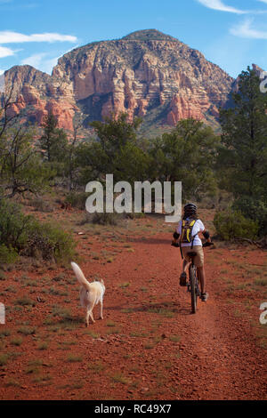 Sedona Mountainbike Stockfoto