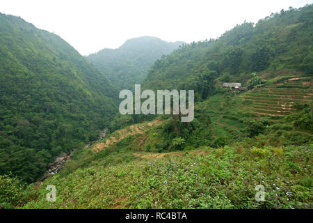 Schöne, üppige und grüne Landschaft der malerischen Schlucht, Berge und Reisterrassen in Sapa, Nordvietnam, an einem bewölkten Tag. Stockfoto