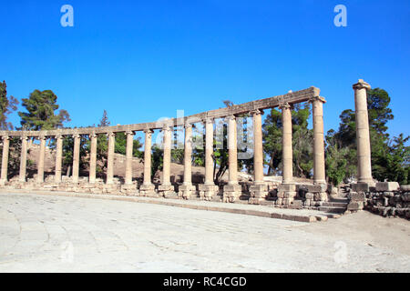 Ionische Säulen auf ovalen Platz mit in Jerash (gerasa), antike römische Hauptstadt und größte Stadt von Jerash Governorate, Jordanien, Naher Osten. UNESCO-h Stockfoto