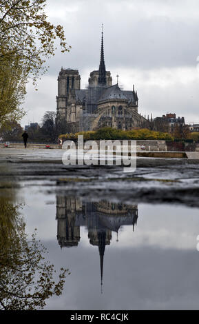 Notre-Dame de Paris an einem regnerischen Tag Stockfoto