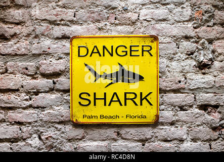 Gelbes Quadrat metall Gefahr Shark Schild mit Black Shark Schattenbild in enger gesehen und Full Frame auf alten Mauer. Palm Beach, Florida Stockfoto