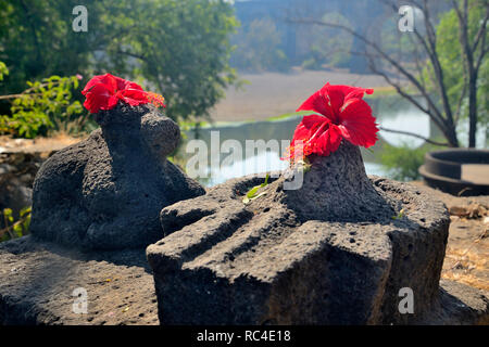 Kleine Shivlinga und Nandi am Ufer des Flusses, in der Nähe von Someshwar Tempel, in der Nähe von Mahuli Sangam, Satara, Maharashtra, Indien Stockfoto