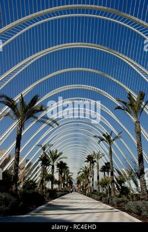 Spanien. Valencia. Stadt der Künste und Wissenschaften. Ist eine Unterhaltung auf kulturellen und architektonischen Komplex. Von Santiago Calatrava und Fe lix Candela entworfen. 1996 - 1998. L'Umbracle. Stockfoto