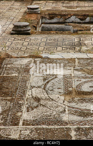 Römische Villa Pisoes. Mosaikfußboden Darstellung von geometrischen und naturalistischen Motiven. Portugal. Alentejo. Beja. Stockfoto