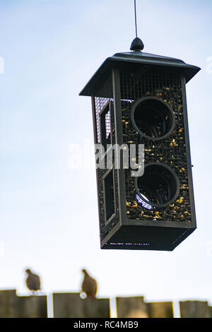 Single metal Bird Feeder hängen an Hirten Haken mit hölzernen Zaun und blauer Himmel im Hintergrund. Stockfoto