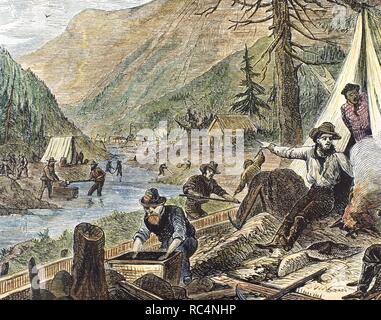 Die Vereinigten Staaten. des 19. Jahrhunderts. Goldrausch in der California State. Auf der Suche nach gold-Nuggets an den Ufern der Flüsse kalifornische Goldgräber. Gravur. Farbige. Stockfoto