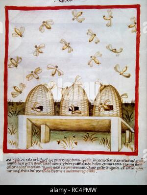 Tacuinum Sanitatis. 14. Jahrhundert. Mittelalterliche Handbuch der Gesundheit. Honig. Folio 94v. Stockfoto