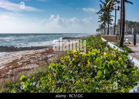 Öffentlicher Strand in der Nähe von Worth Avenue in Palm Beach, Florida. (USA) Stockfoto