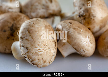 Gruppe von Weißen Champignons auf einem weißen Schneidebrett. Stockfoto