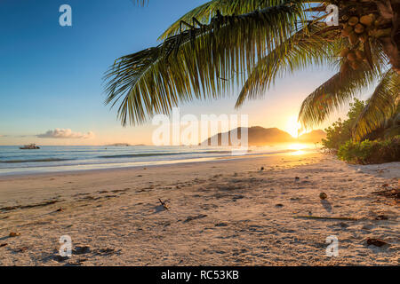 Schönen Sonnenaufgang über dem tropischen Strand in der Karibik Insel. Stockfoto