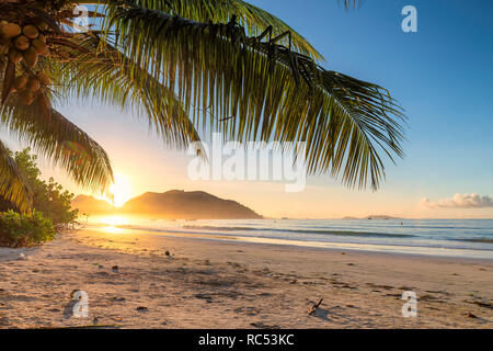 Schönen Sonnenaufgang über dem tropischen Strand in der Karibik Insel. Stockfoto