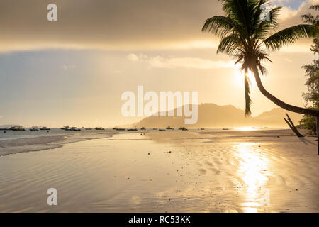 Schönen Sonnenaufgang über dem tropischen Strand in der Karibik Insel. Stockfoto