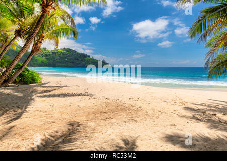 Sandstrand mit Palmen und türkisblaues Meer in der karibischen Insel. Stockfoto