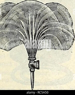 . Dreer's Mitte Sommer Katalog 1916. Blumen Samen Kataloge ; Obst ; Gemüse Samen Samen Kataloge Kataloge; Baumschulen (Gartenbau) Kataloge; Gartengeräte und Zubehör Kataloge. . Bitte beachten Sie, dass diese Bilder sind von der gescannten Seite Bilder, die digital für die Lesbarkeit verbessert haben mögen - Färbung und Aussehen dieser Abbildungen können nicht perfekt dem Original ähneln. extrahiert. Henry A. Dreer (Hart); Henry G. Gilbert Baumschule und Saatgut Handel Katalog Kollektion. Philadelphia, Pa: Henry A. Dreer Stockfoto