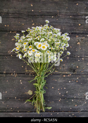 Gänseblümchen Weiß Gelb - Auge Blumen Blumenstrauß auf dem alten, dunklen verwitterte Holzbohlen Stockfoto