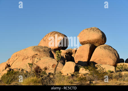 Schöne Felsformationen, zusammen mit verschiedenen Wüstenpflanzen, an einem sonnigen Tag Winter in Joshua Tree National Park im Süden von Kalifornien, USA Stockfoto