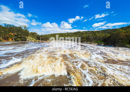 Den Swan River in vollem Durchfluss bei Glocken Rapids nach sehr starker Regen Stockfoto