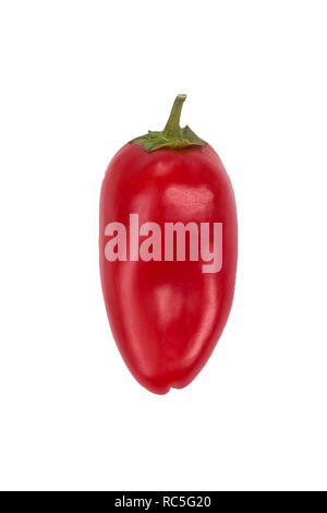 Ovely mini rote Paprika auf weißem Hintergrund isolieren Stockfoto