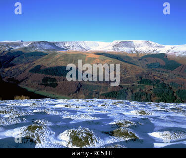 Waun von Rydd Bryniau Gleision, in der Nähe von Talybont, Brecon Beacons National Park, Powys, Wales. Stockfoto