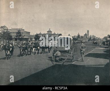 ' Pietermaritzburg', c 1900. Schöpfer: Unbekannt. Stockfoto