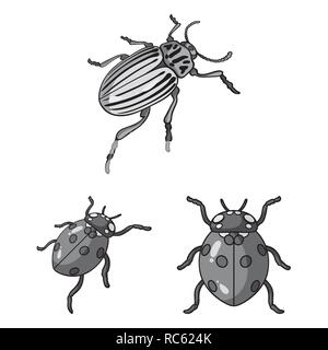 Horn, Marienkäfer, Pest, Bug, Kakerlake, Insekten, Käfer, Tier, Halloween, gezeichnet, Tattoo, Natur, botanische, Antenne, Set, Vector, Icon, Illustration, isoliert, Sammlung, Design, Element-, Grafik-, Zeichen-, Mono-, Grau-, Vektor, Vektoren, Stock Vektor