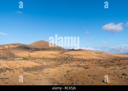 Vulkanische Landschaft, Fuerteventura, Kanarische Inseln, Spanien Stockfoto