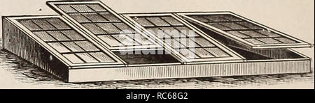 . Dreer's Garten Kalender für 1892: ein Katalog der Wahl Gemüse-, Feld- und Blumensamen neue, seltene und schöne Pflanzen Garten implementiert und Düngemittel. Samen Kataloge; Baumschulen Kataloge; Gartengeräte und Zubehör Kataloge; Blumen; Gemüse Samen Samen Kataloge Kataloge. F durchführbar, der Garten sollte über ein warmes und südöstlichen Exposition. Aber wenn der Boden Steigungen - im Norden und Westen ist es wichtig, dass es auf der Sonnenseite des Obstgartens oder Gebäuden. Die wünschenswertesten Situation möglich, sollten außer für die Küche Garten eingestellt werden, da die Belichtung wurde Stockfoto