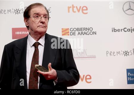 Zaragoza, Spanien. 13 Jan, 2019. JoseFrade Productor und Enrique Cerezo ForqueAwards des spanischen Kinos gehalten am Zaragoza Conference Center Foto: Juan Carlos Rojas/Corrdon drücken Sie Credit: CORDON PRESSE/Alamy leben Nachrichten Stockfoto