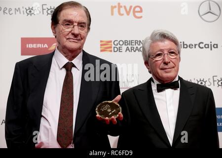 Zaragoza, Spanien. 13 Jan, 2019. JoseFrade Productor und Enrique Cerezo ForqueAwards des spanischen Kinos gehalten am Zaragoza Conference Center Foto: Juan Carlos Rojas/Corrdon drücken Sie Credit: CORDON PRESSE/Alamy leben Nachrichten Stockfoto