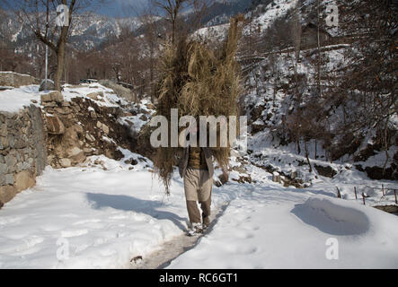 Srinagar, Indisch kontrollierten Teil Kaschmirs. 14 Jan, 2019. Ein dorfbewohner Spaziergänge auf Schnee in Stadtrand von Srinagar, die Hauptstadt des Indischen-kontrollierten Kashmir, 14.01.2019. Credit: Javed Dar/Xinhua/Alamy leben Nachrichten Stockfoto