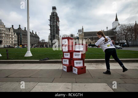 London, Großbritannien. 14. Jan 2019. Völker stimmen Unterstützer (Mitte Mackenzie Horn, im Alter von 23) außerhalb der Houses of Parliament, London, Großbritannien, 14. Januar 2019 Pro bleiben, Verlassen und Völker Abstimmung suppoorters Versuchen letzten verzweifelten Unterstützung vor der morgigen Abstimmung sinnvoll, in der sich die Mitglieder des Parlaments zustimmen oder Theresa von Möglicherweise umstrittenen Plan ablehnen, zu sammeln. Aber letzten Monat der Premierminister drastisch den Bin ihrer Stimme", im Gegensatz zu dem, was erwartet worden war eine deutliche Niederlage in die Hände der Rebellen MPs zu sein. Credit: Jeff Gilbert/Alamy leben Nachrichten Stockfoto