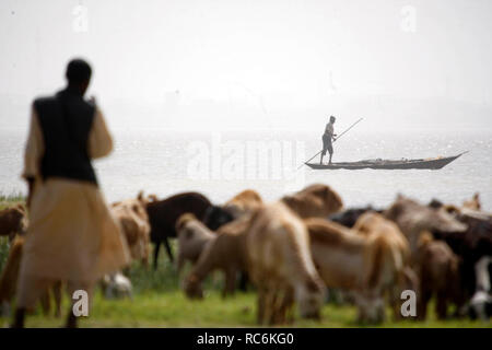 Khartum, Sudan. 14 Jan, 2019. Eine sudanesische Fischer Fänge Fische in den weißen Nil in Khartum, Sudan, 14.01.2019. Credit: Mohamed Khidir/Xinhua/Alamy leben Nachrichten Stockfoto