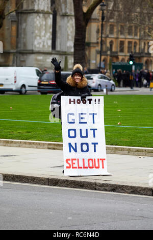 London, Großbritannien - 14 Jan, 2019: ein Verfechter außerhalb des Parlaments von Westminster. Credit: Kevin J. Frost-/Alamy leben Nachrichten Stockfoto