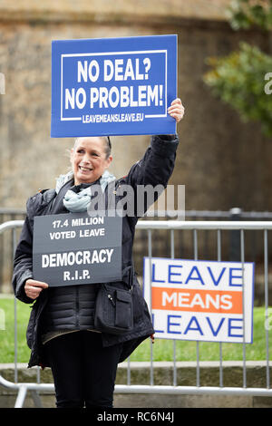 London, Großbritannien - 14 Jan, 2019: ein Verfechter außerhalb des Parlaments von Westminster. Credit: Kevin J. Frost-/Alamy leben Nachrichten Stockfoto