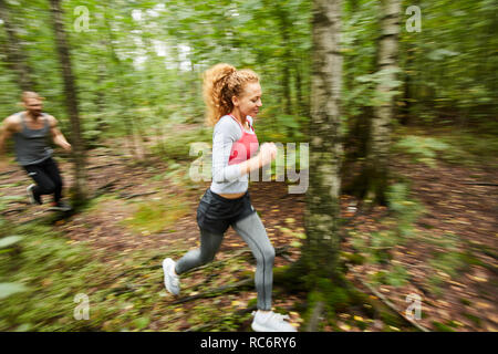 Joggen in Birke Wald Stockfoto