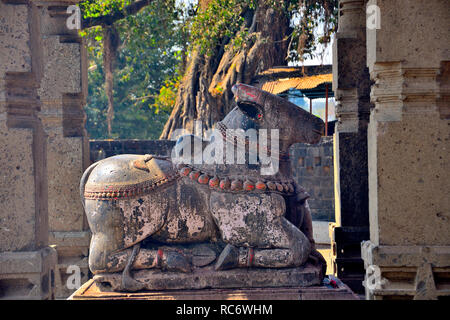 Idol von Nandi in Dakshin Kashi Shiv Mandir, Mahuli Sangam, Satara, Maharashtra, Indien Stockfoto