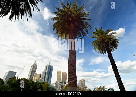 Palmen frame hohe Gebäude im zentralen Geschäftsviertel von Melbourne Stockfoto
