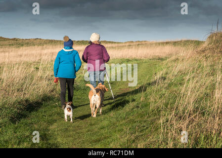 Hund Wanderer und ihre Hunde auf einem Fußweg auf West Pentire in Newquay Cornwall. Stockfoto