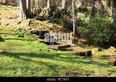 Enz im Kurpark von Bad Wildbad im Schwarzwald Stockfoto