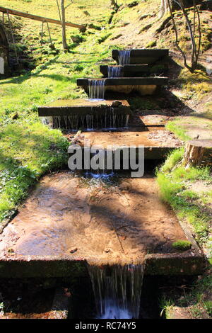 Enz im Kurpark von Bad Wildbad im Schwarzwald Stockfoto