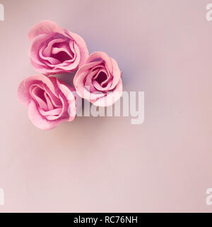 Drei rosa Rose Blumen auf hellblauem Hintergrund mit Kopie Raum Stockfoto