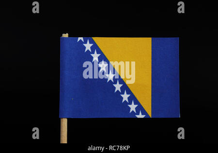 Eine offizielle, schöne und die Nationalflagge von Bosnien und Herzegowina auf Zahnstocher auf schwarzem Hintergrund. Eine breite mittlere senkrechte blaue Band auf der Seite fliegen Stockfoto