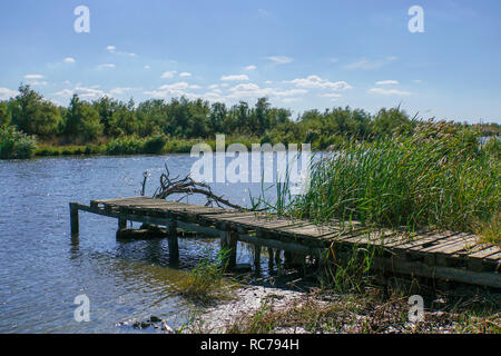 Bootsfahrt am Delta des Evros-Fluss, Thrakien (Thrakien), Griechenland. Stockfoto