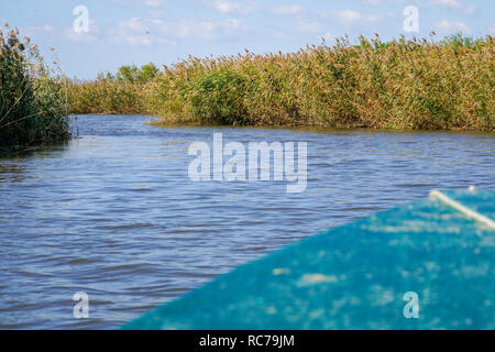 Bootsfahrt am Delta des Evros-Fluss, Thrakien (Thrakien), Griechenland. Stockfoto